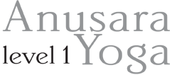 Anusara Yoga level 1